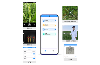 孝感市小麦亩穗数分析仪IN-XM02